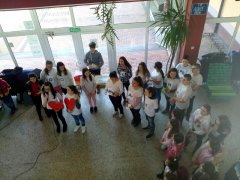 IMG_20190214_105400.jpg